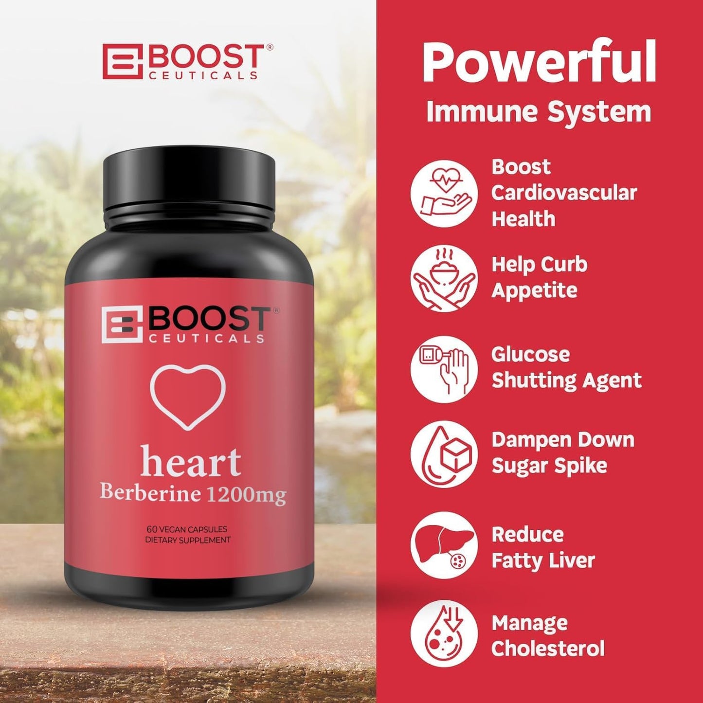 BoostCeuticals Berberine Supplement 1200mg (2 x 600mg) - Berberine HCl Vegan Capsules - Daily Wellness Support - Gluten-free Non GMO - 60 Capsules - görsel 5