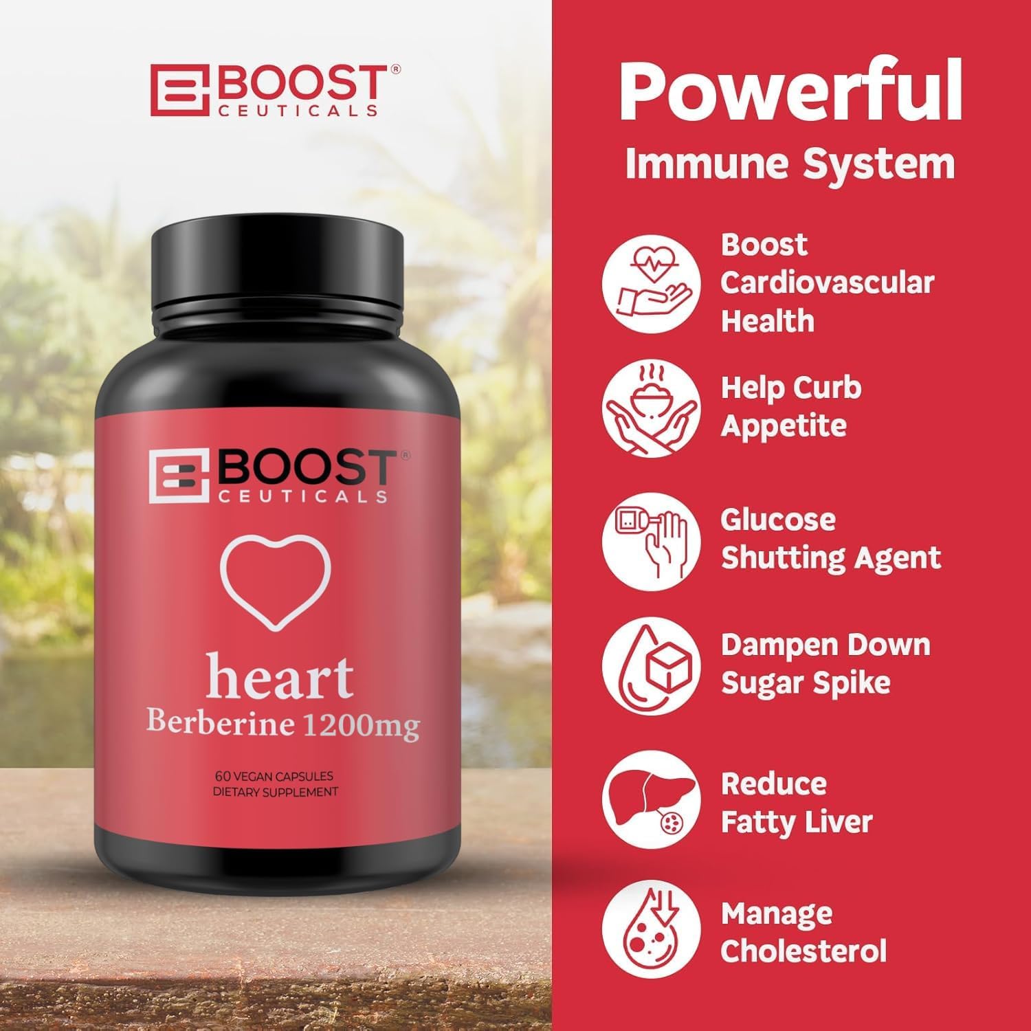 BoostCeuticals Berberine Supplement 1200mg (2 x 600mg) - Berberine HCl Vegan Capsules - Daily Wellness Support - Gluten-free Non GMO - 60 Capsules - görsel 5