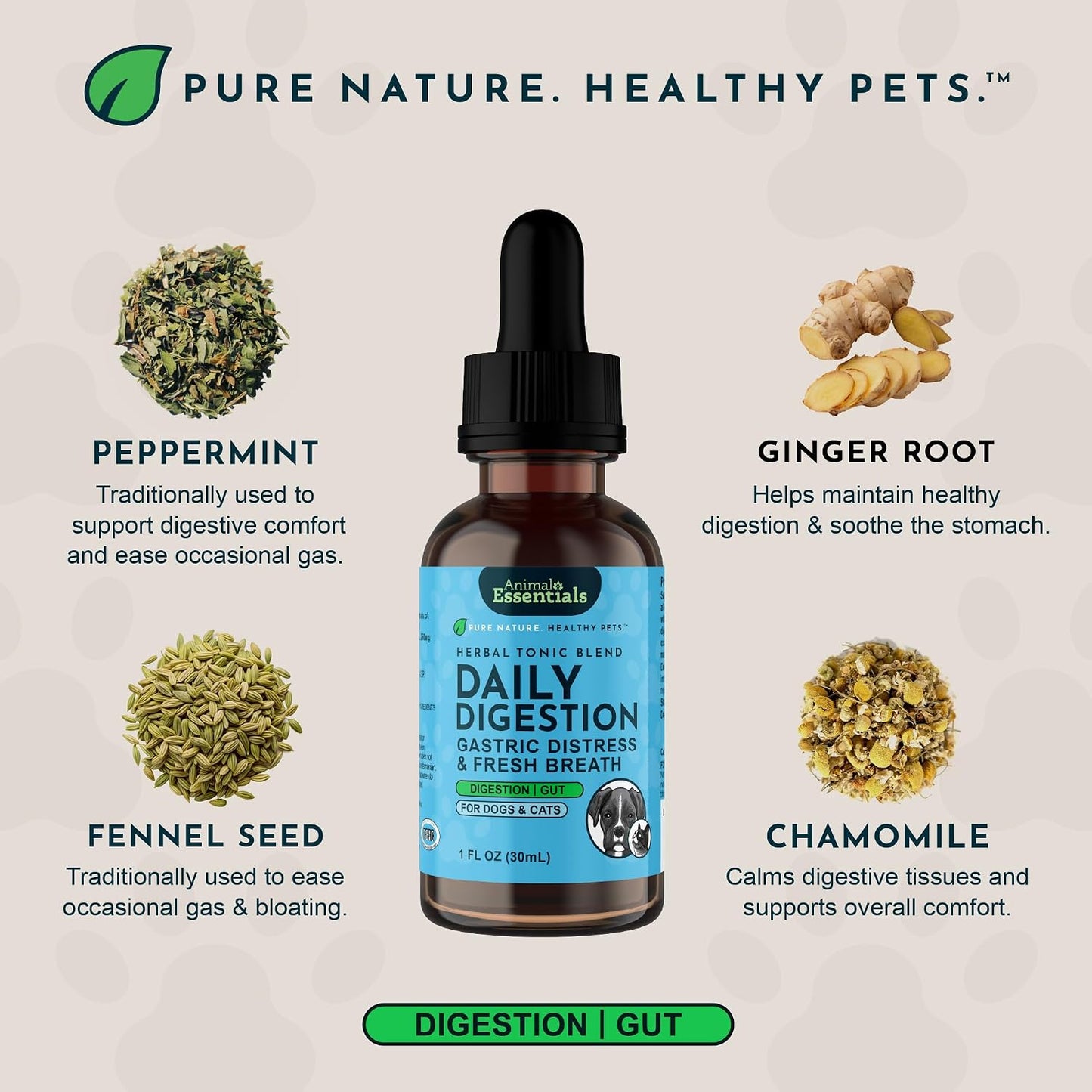 Animal Essentials Fresh Breath & Daily Digestion Supplement for Dogs & Cats, 60 ml - Organic Ginger & Mint, Alcohol Free - görsel 4