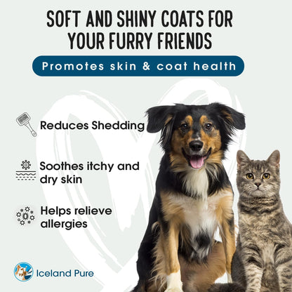 Iceland Pure Salmon Oil for Dogs and Cats – Unscented Pharmaceutical Grade Omega-3 Supplement, 259 ml