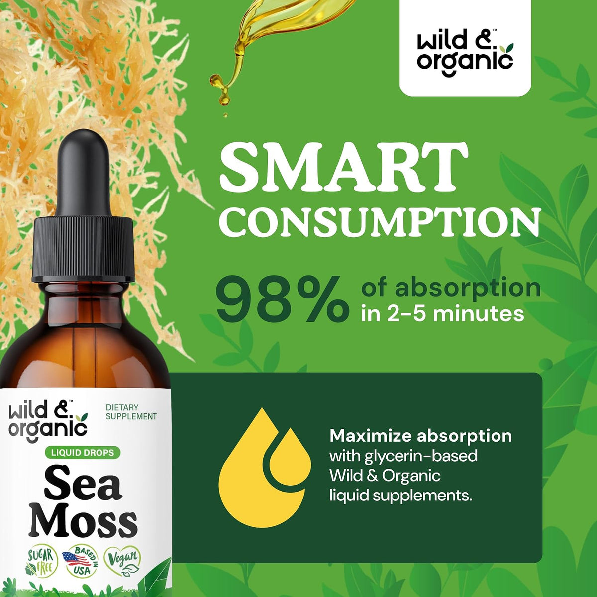 Wild & Organic Sea Moss Liquid Drops - Immune Support - Irish Sea Moss and Bladderwrack Tincture - Multimineral Chondrus Crispus Supplement - Vegan, Sugar & Alcohol-Free - 60 ml - görsel 4