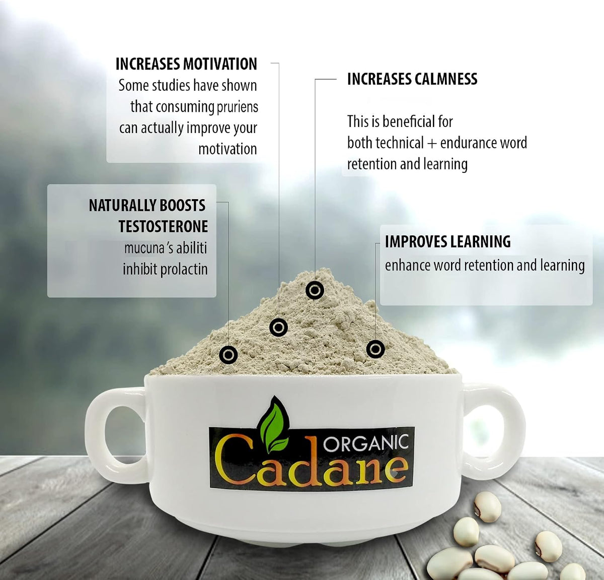 Organic Cadane Mucuna Pruriens Powder - 454g (1lb) - Certified Organic, Vegan & Non-GMO - görsel 3