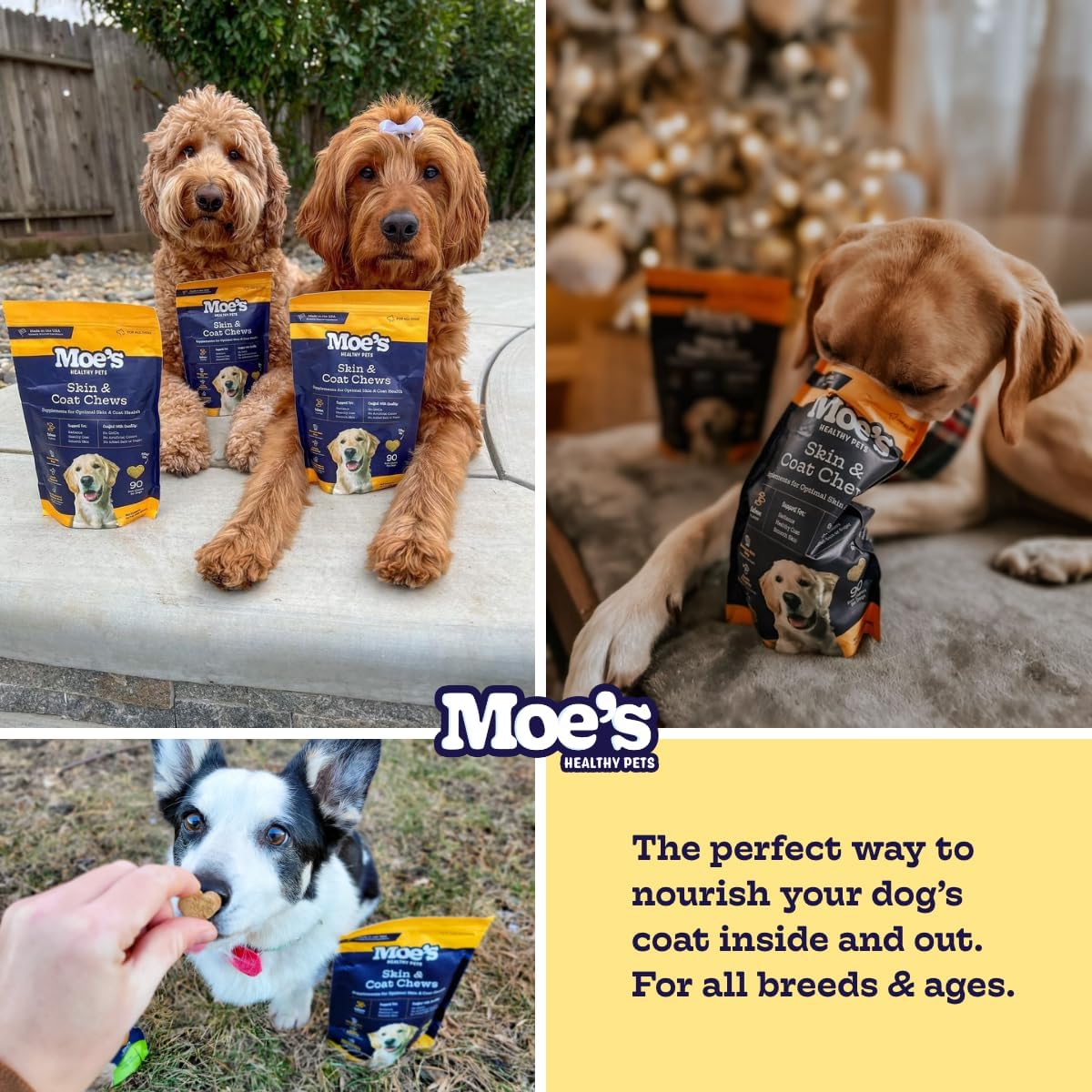 Moe’s Skin & Coat Omega 3, 6, 9 and Vitamin Supplement for Dogs - 90 Soft Chews - görsel 5