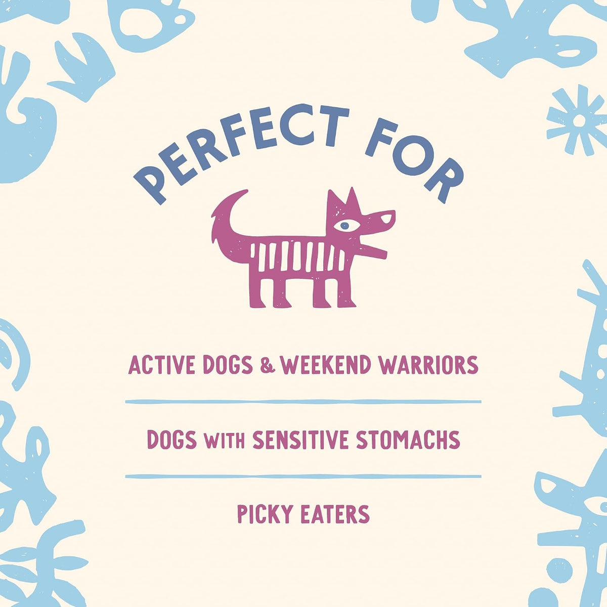 Super Chomp Tablets, Dog Probiotic Supplement for Digestive Health, Multi-Glandular & Probiotics, 60 Tablets - görsel 4