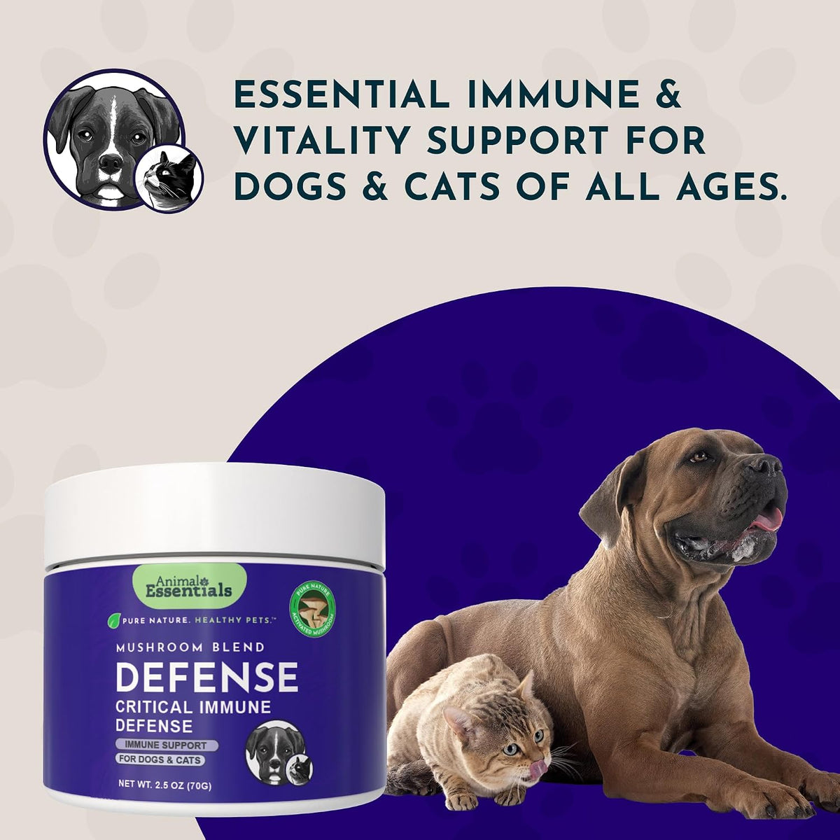 MUSHROOM DEFENCE Supplement for Dogs & Cats - Critical Immune Defence, Reishi, Maitake, Cordyceps, Mushroom Powder Extract - 70 g (Pack of 1) - görsel 8