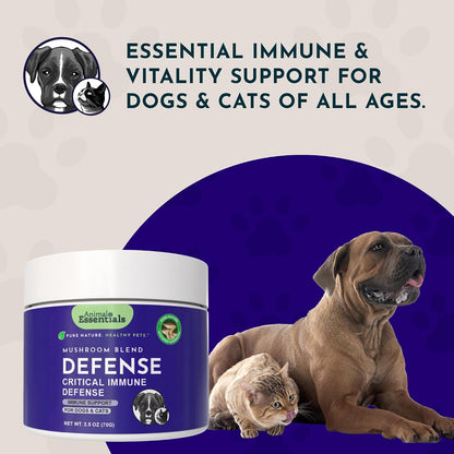MUSHROOM DEFENCE Supplement for Dogs & Cats - Critical Immune Defence, Reishi, Maitake, Cordyceps, Mushroom Powder Extract - 70 g (Pack of 1)