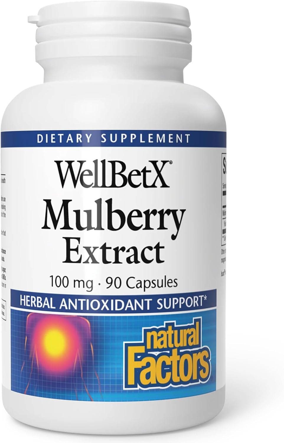 Natural Factors WellBetX Mulberry Extract - Herbal Antioxidant Support with Moranoline - 90 Capsules - görsel 1