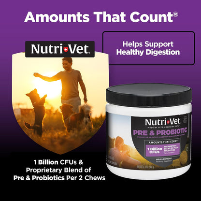 Nutri-Vet Pre & Probiotics for Dogs, Digestive Support, 120 Soft Chews (Liver & Cheese Flavour)