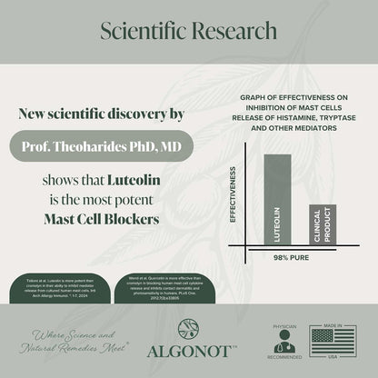 BrainGain, Luteolin & Key Ingredients with EVOO - Dietary Supplement
