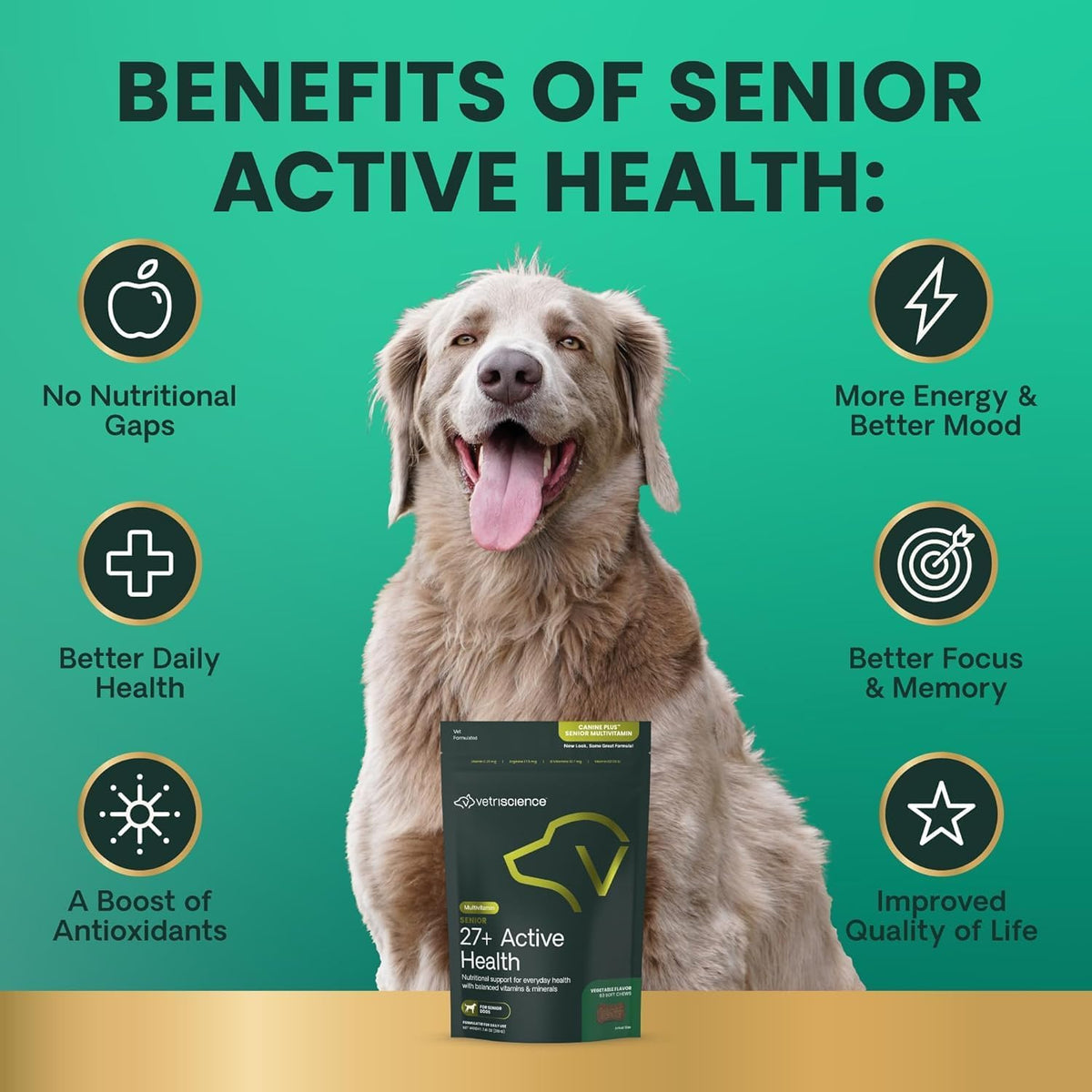 VetriScience Senior 27+ Active Health Chews - Canine Plus Daily Multivitamin for Senior Dogs (60 Servings) - görsel 3