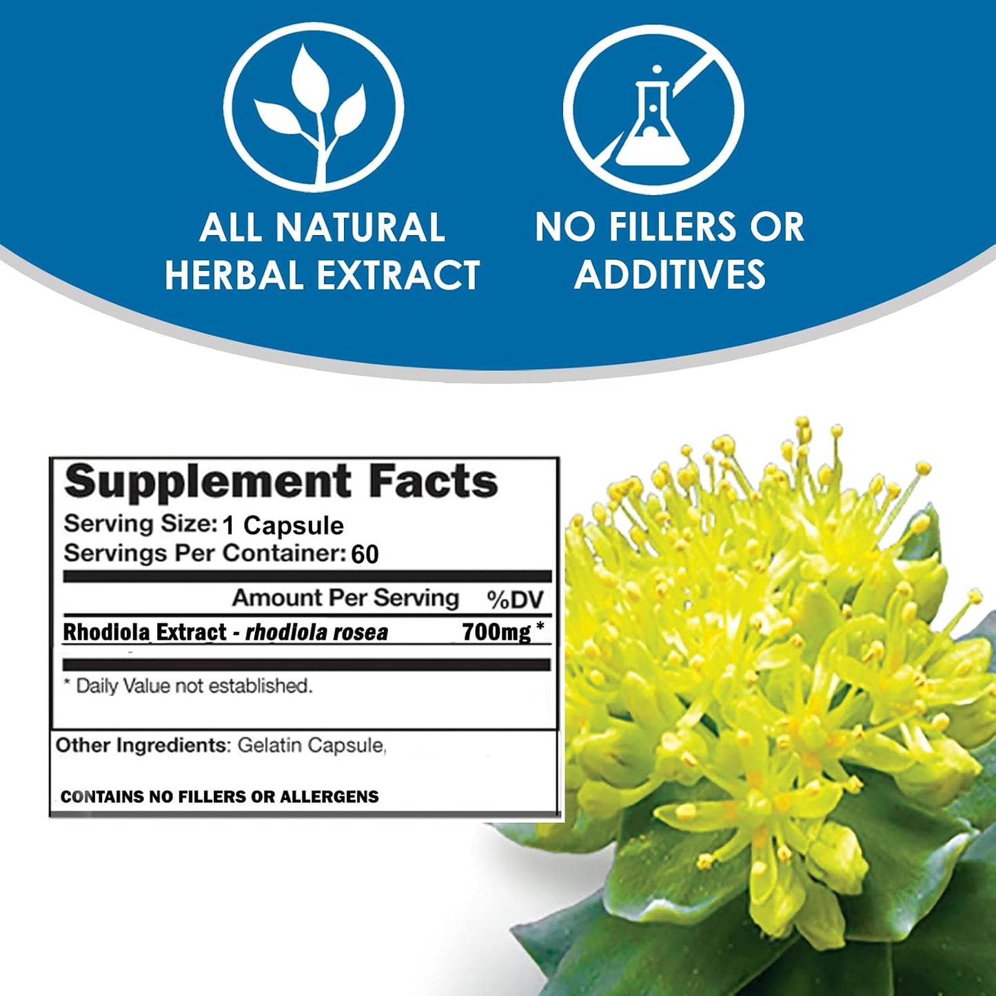 Rhodiola Rosea Food Supplement – 3% Salidrosides Standardised Extract – 60 Capsules - görsel 4