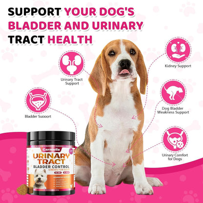 Cranberry Supplement for Dogs, Urinary Tract & Bladder Support - Cranberry Chews with D-Mannose - Kidney+Bladder, Digestion & Immune Support - 200 Chews, Chicken Flavour