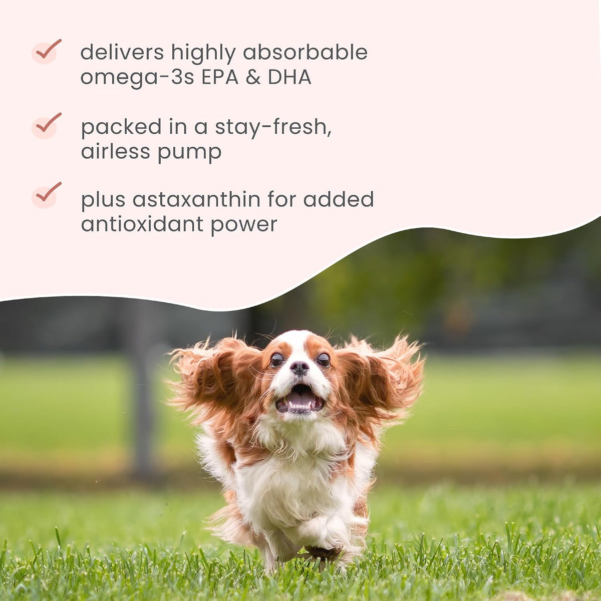 Bark & Whiskers Krill Oil Liquid Pump for Cats & Dogs - Omega-3 Fatty Acids for Joint, Skin & Brain Health - 43 ml - görsel 4