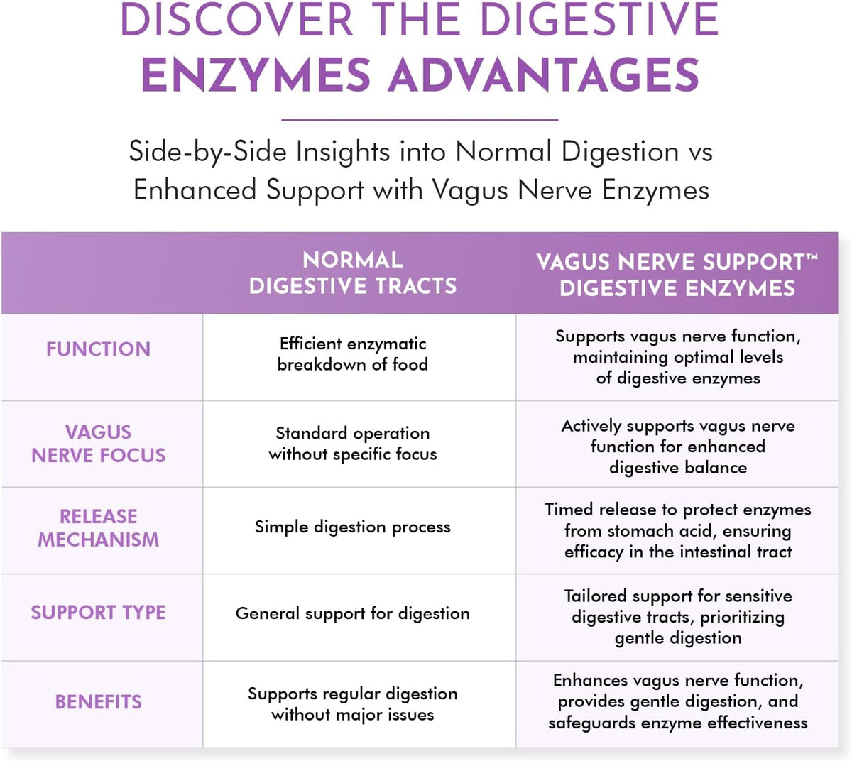 Digestive Enzymes for Sensitive Stomachs - Supports Vagus Nerve, Vegetarian Pancreatic Support, Timed Release Formula for Optimal Gut Health, Enhances Food Digestion & Gut Flora - görsel 7