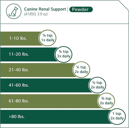 Standard Process Canine Renal Support – Dog Supplement for Kidney, Liver & Heart Health, 110 g Powder