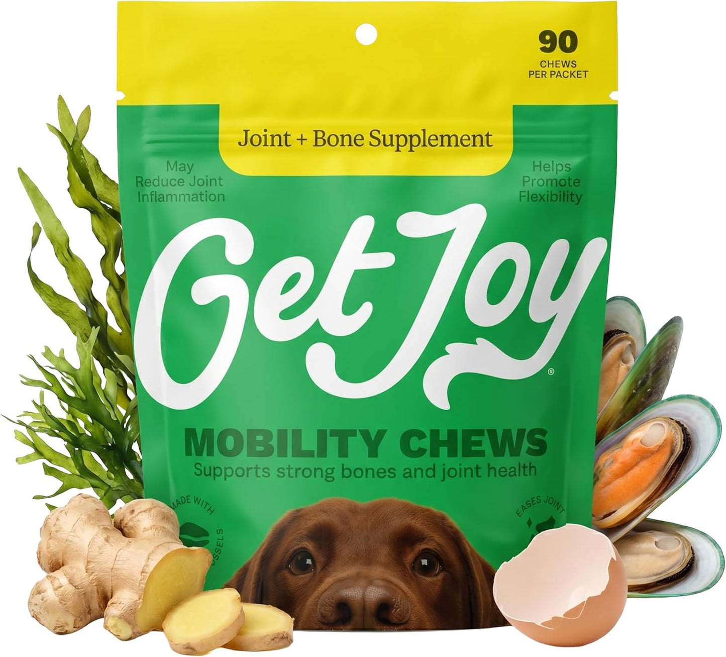 Get Joy Digestion Chews - Gut Health Supplement for Dogs with Prebiotics, Probiotics & Postbiotics, 90 Soft Chews - görsel 8