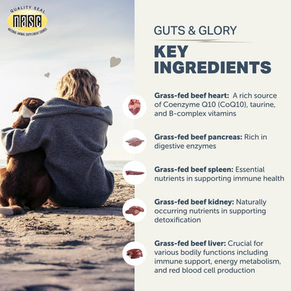 Four Leaf Rover Guts & Glory Freeze-dried Organs for Dogs