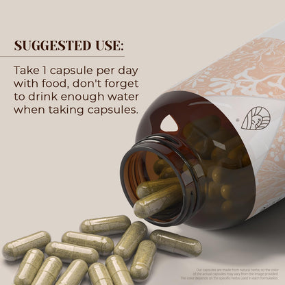 Garden Organics Hyssop 120 Capsules - USDA Organic, High-Potency Herbal Supplement