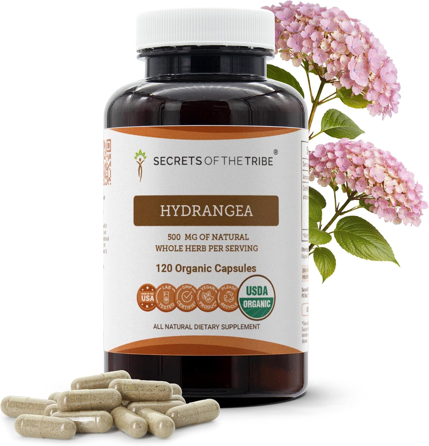 Secrets of the Tribe Hydrangea USDA Organic Capsules | Certified Organic Vegetarian Capsules, Herbal Food Supplement | Hydrangea arborescens Dried Root (60 Capsules) - görsel 7