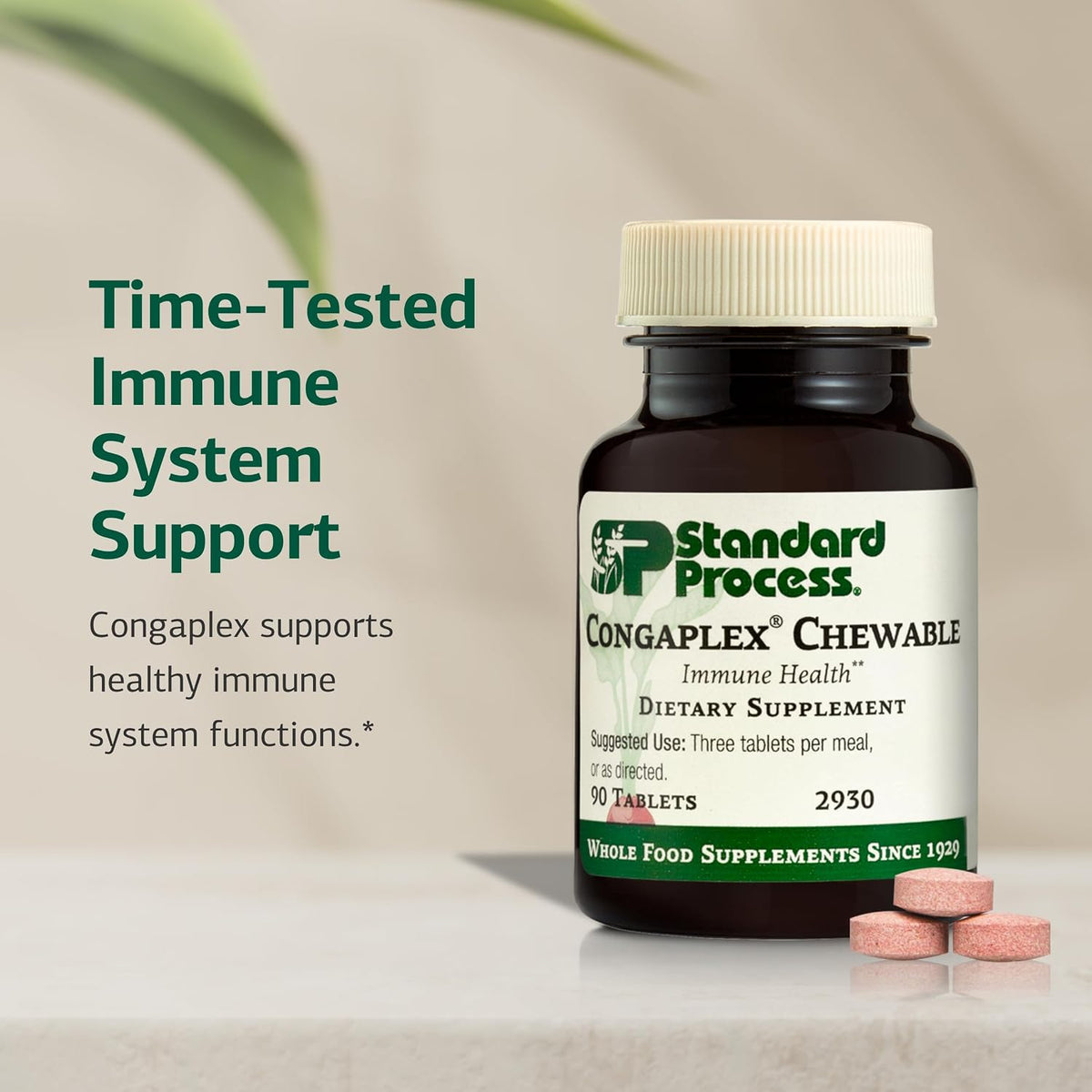 Standard Process Congaplex Chewable - Immune Support with Vitamin A - 90 Tablets - görsel 3