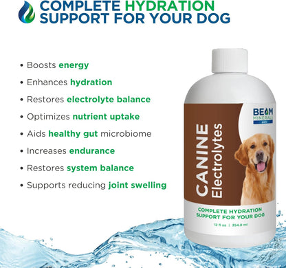 Complete Canine Electrolytes | Full-Spectrum Electrolytes for Dogs | 355 ml