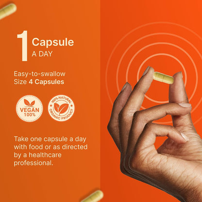 INVITA L-Methylfolate 7.5 mg + Active Vitamin B Complex – 60 Capsules