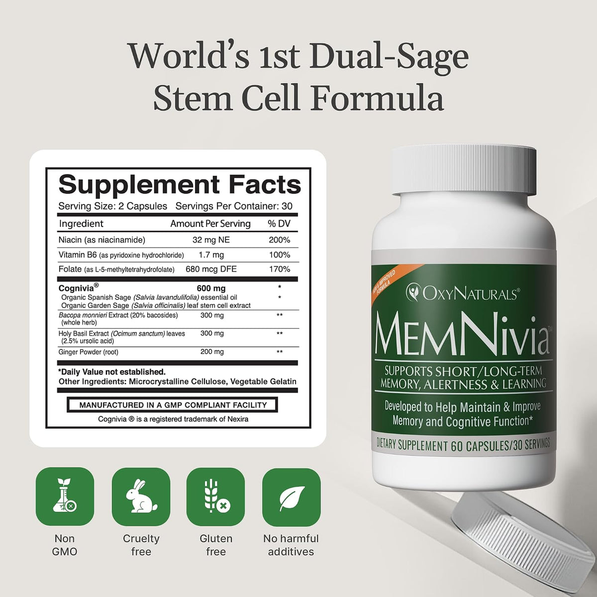 MemNivia Brain Supplement for Memory & Focus – Dual-Sage Stem Cell Formula with Cognivia, Bacopa, Holy Basil & Ginger – 60 Capsules - görsel 3