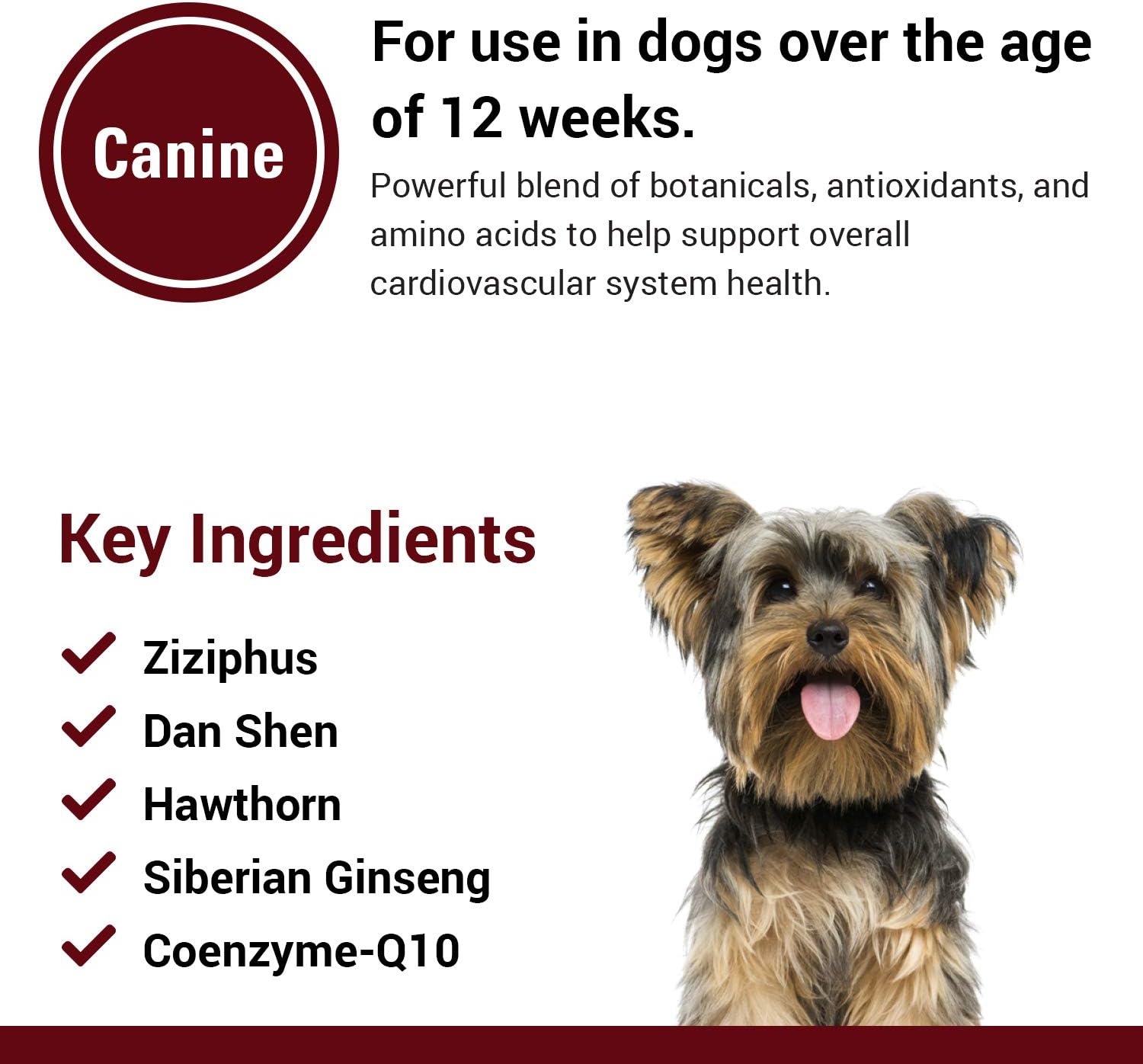 Vet Classics Cardiovascular Support Coenzyme Q-10 Dog Supplement – Chewable Tablets (120 Ct) - görsel 5