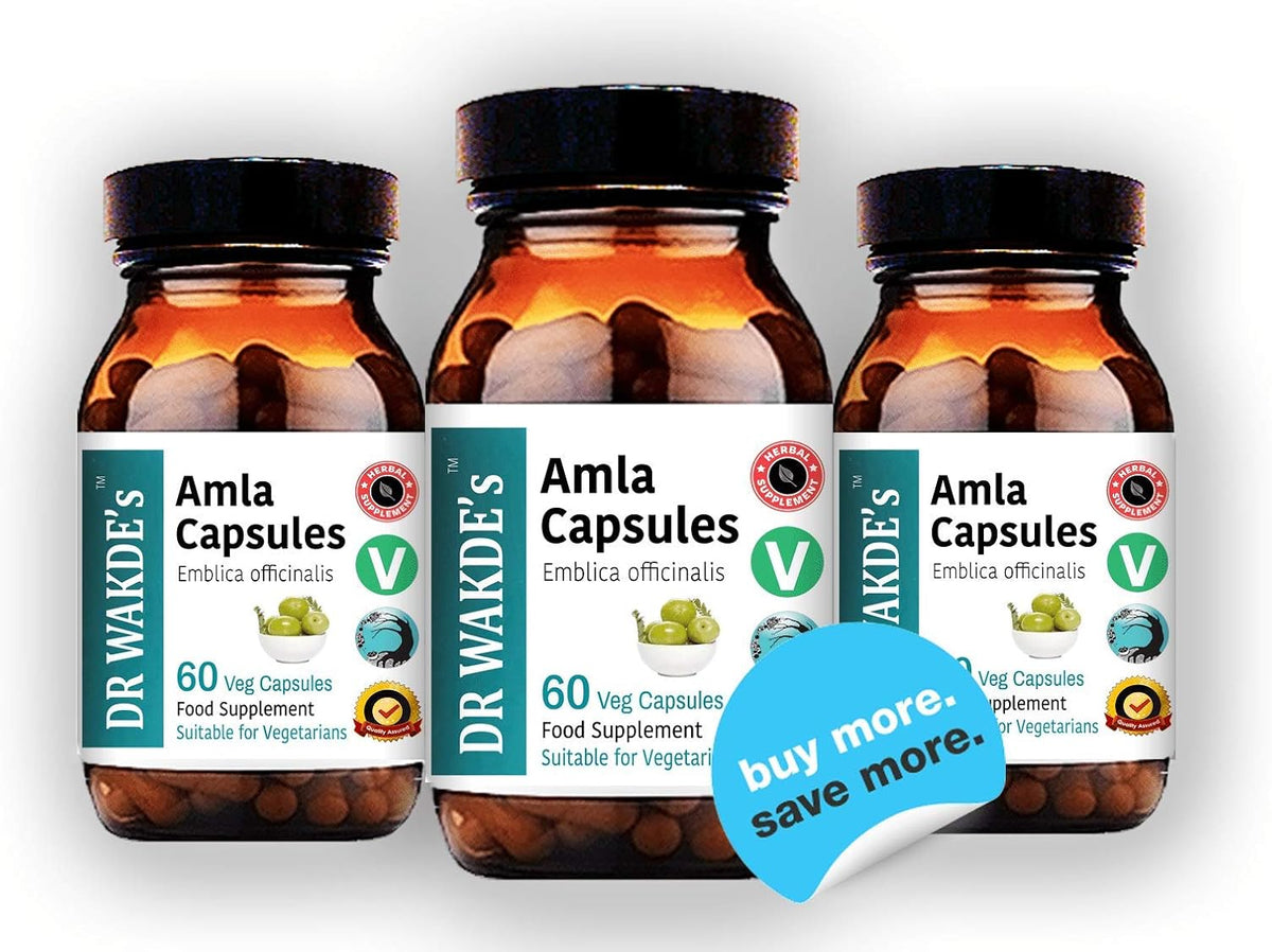 DR WAKDE'S Amla Capsules - 60 Vegan Capsules | Plant-Based Ayurvedic Supplement - görsel 4