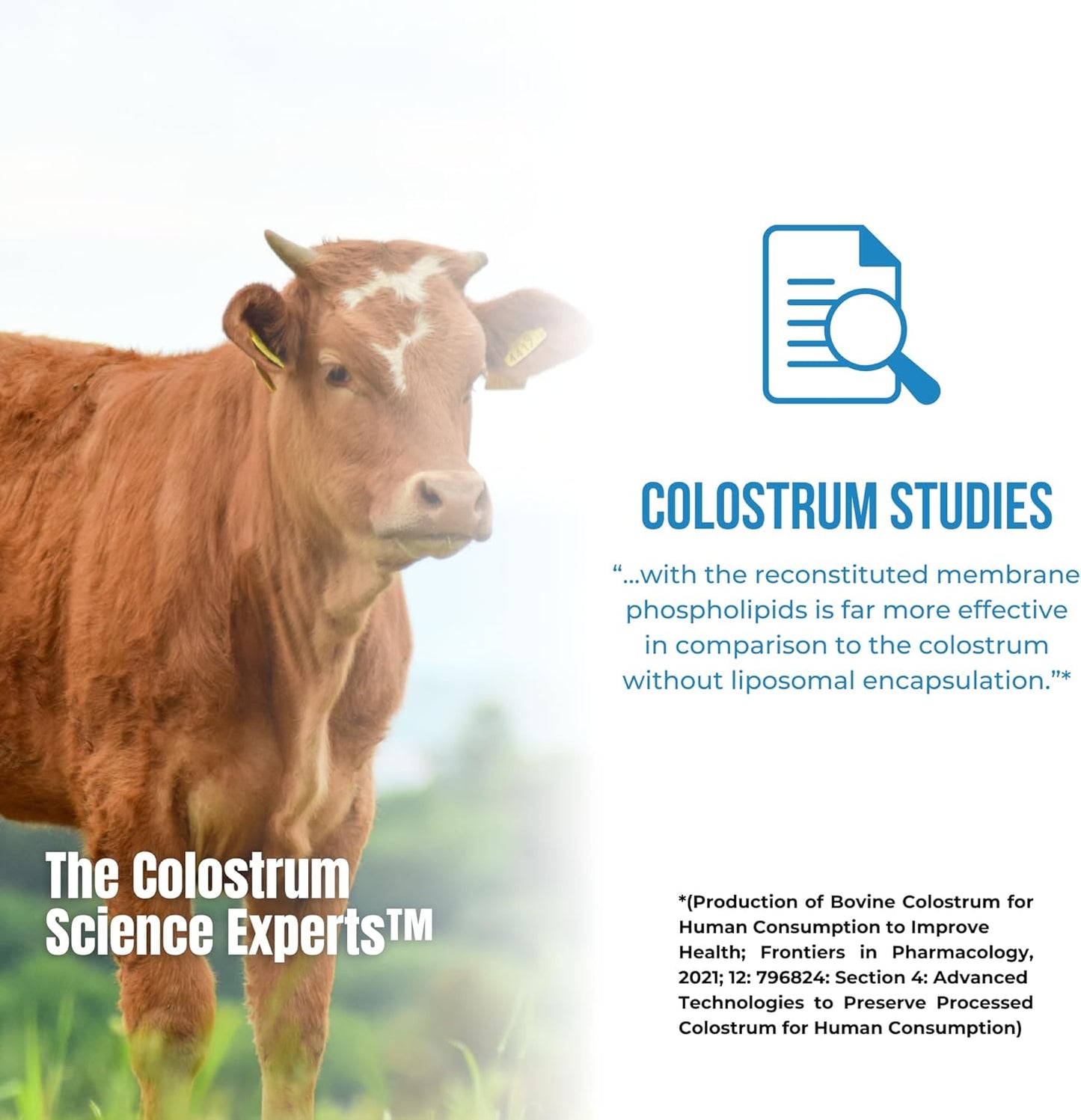 Sovereign Laboratories Colostrum-LD Liposomal Delivery Colostrum Powder, Gluten-Free, Lactose-Reduced, 454g (16 oz, 90 Servings) - görsel 6