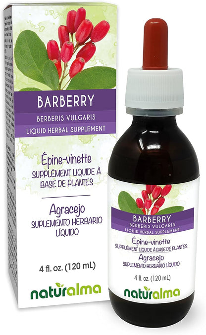 Naturalma Barberry (Berberis vulgaris) Root Bark Alcohol-Free Tincture - 118 ml Liquid Extract in Drops - Herbal Supplement - Vegan