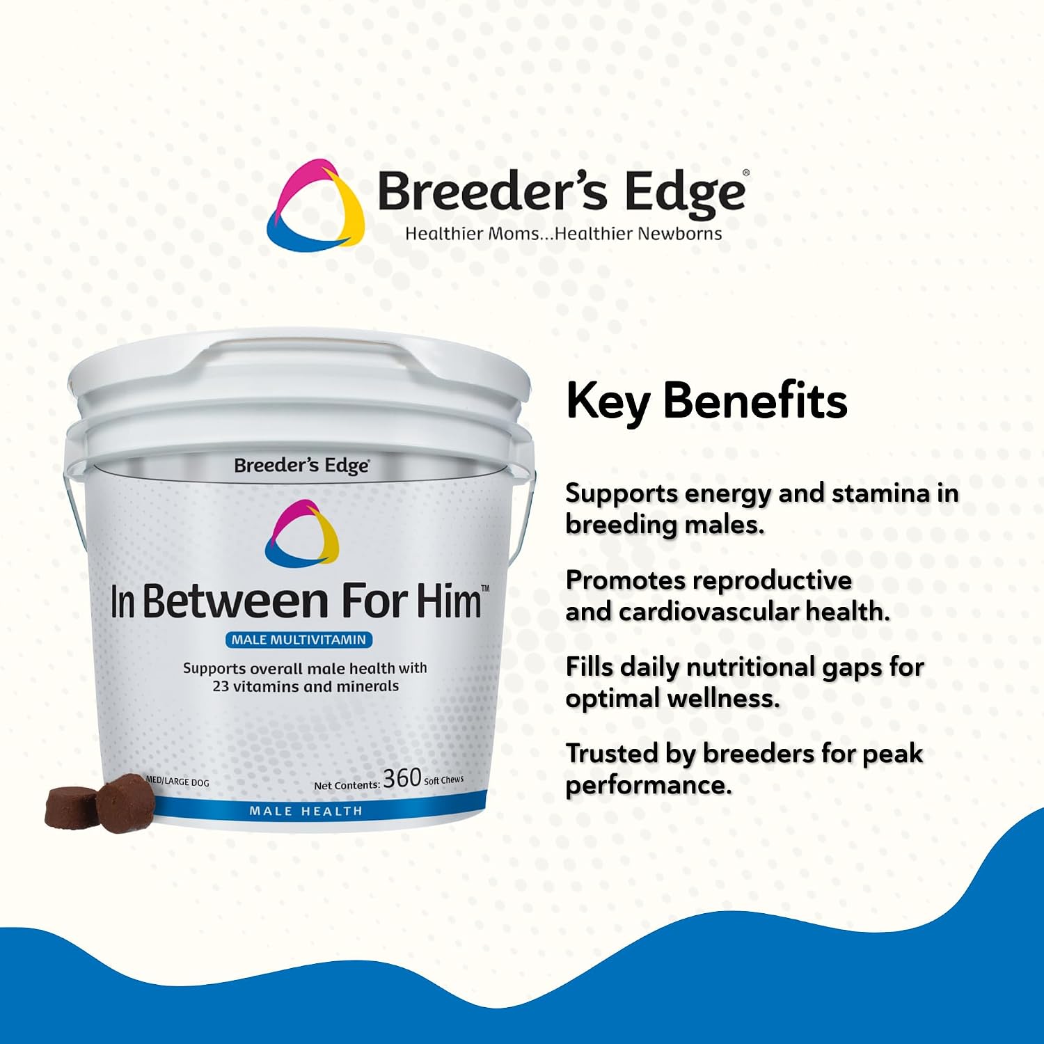 Breeder's Edge In Between for Him Supplement for Male Dogs and Cats, Daily Multivitamin Supporting Energy & Reproductive Health, with Essential Vitamins and Minerals, 360 Tablets for Medium and Large Dogs - görsel 2