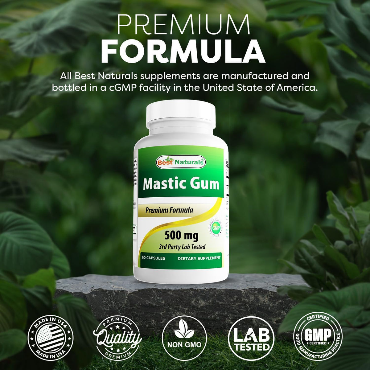 Best Naturals Mastic Gum 500 mg, 60 Capsules - görsel 6