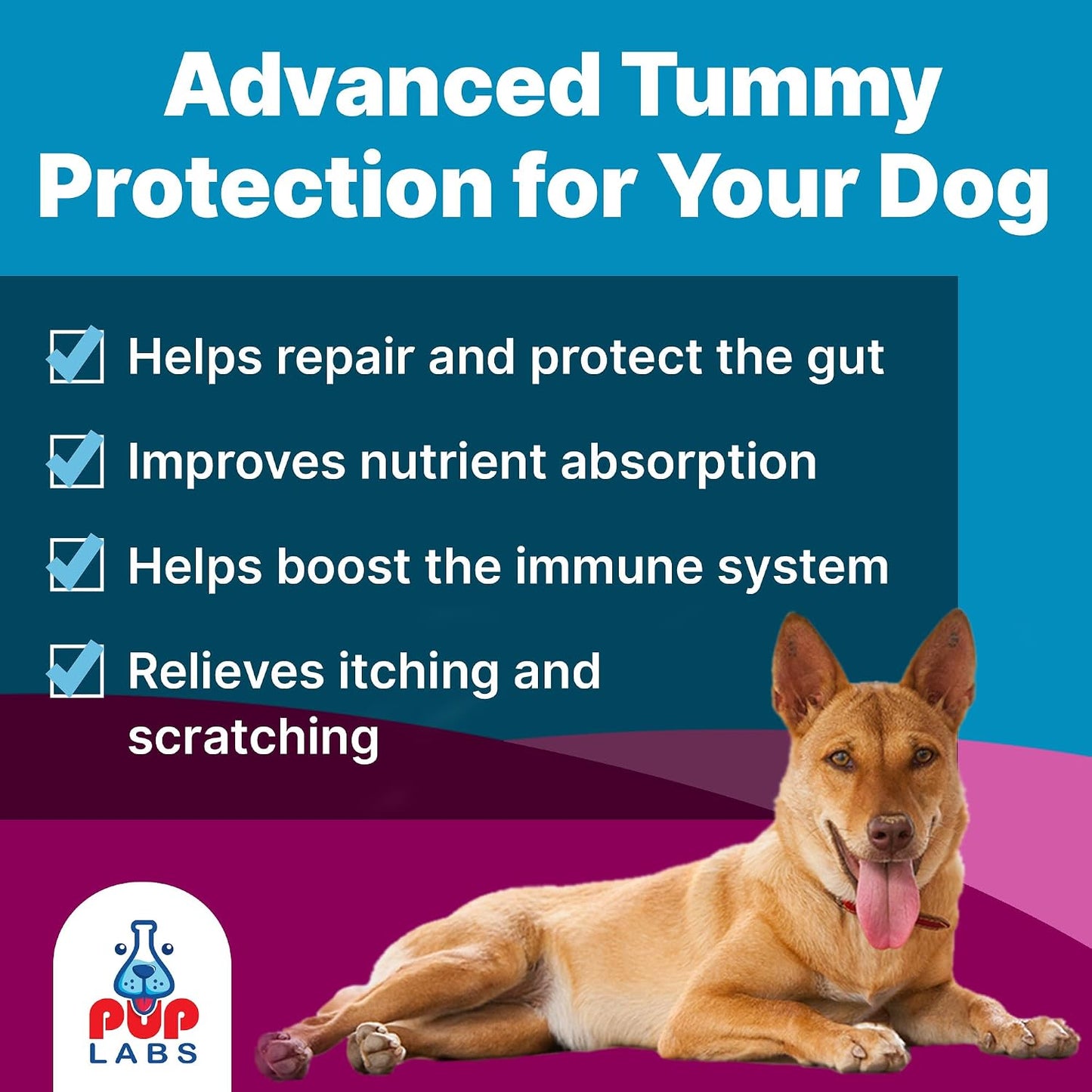 K9 Belly Bliss, All-Natural Gut Health Prebiotic for Dogs, Vet-Approved Daily Digestive Support, 30 Scoops - görsel 2