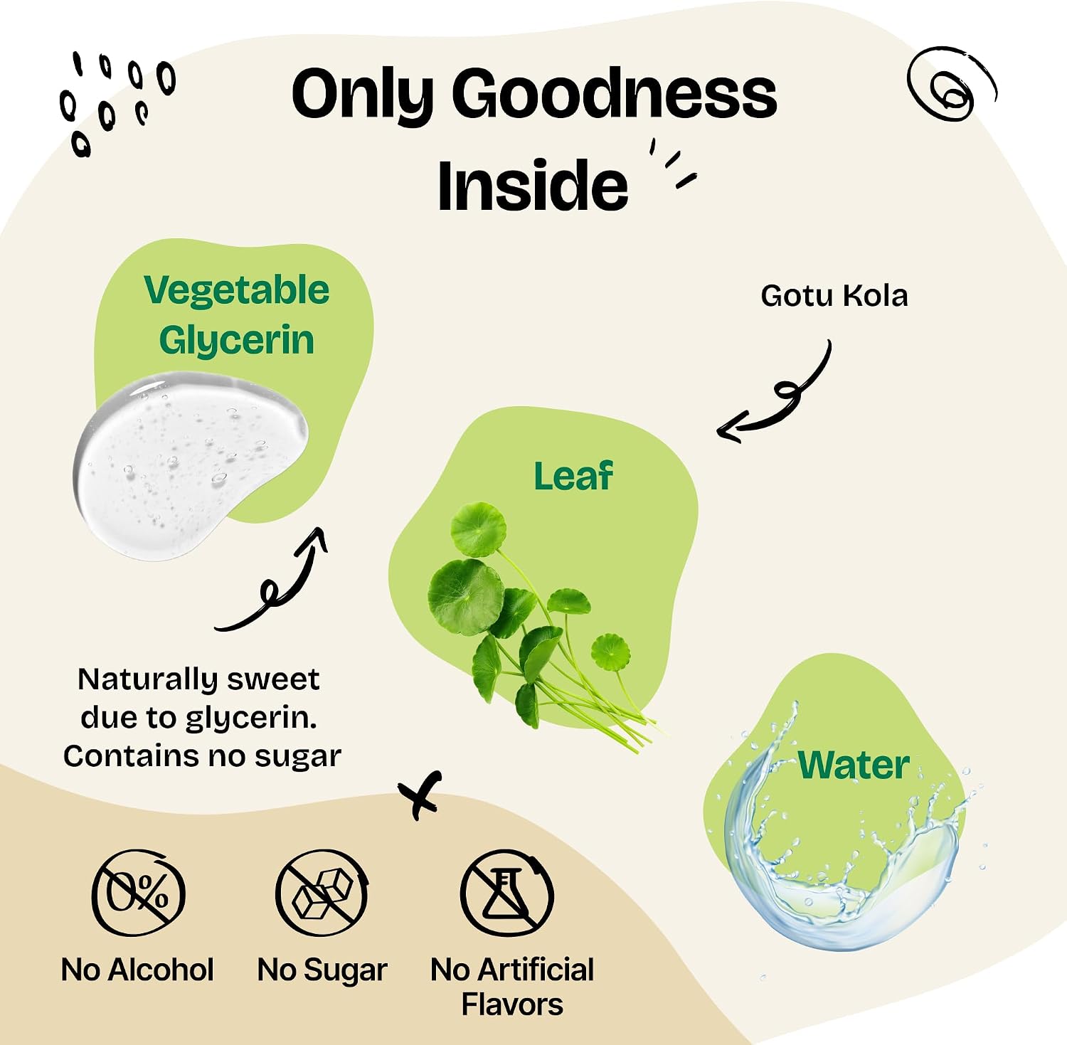 Gotu Kola Drops for Dogs – Centella Asiatica & Gotu Kola Extract for Brain Health Support – Liquid Brain Supplement for Dogs of All Breeds & Sizes – 60 ml - görsel 4