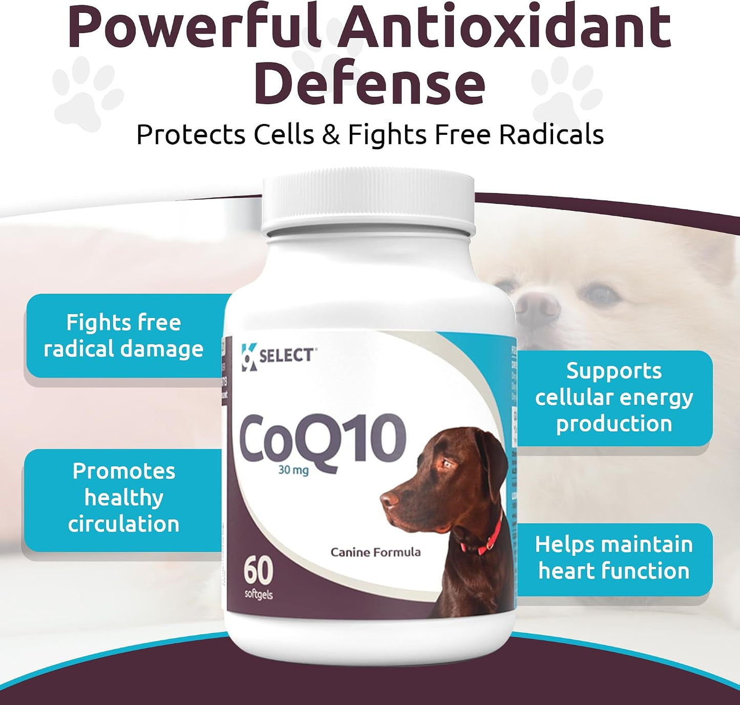 K9 Select CoQ10 Supplement for Dogs, 30mg – 90 Softgels - görsel 5