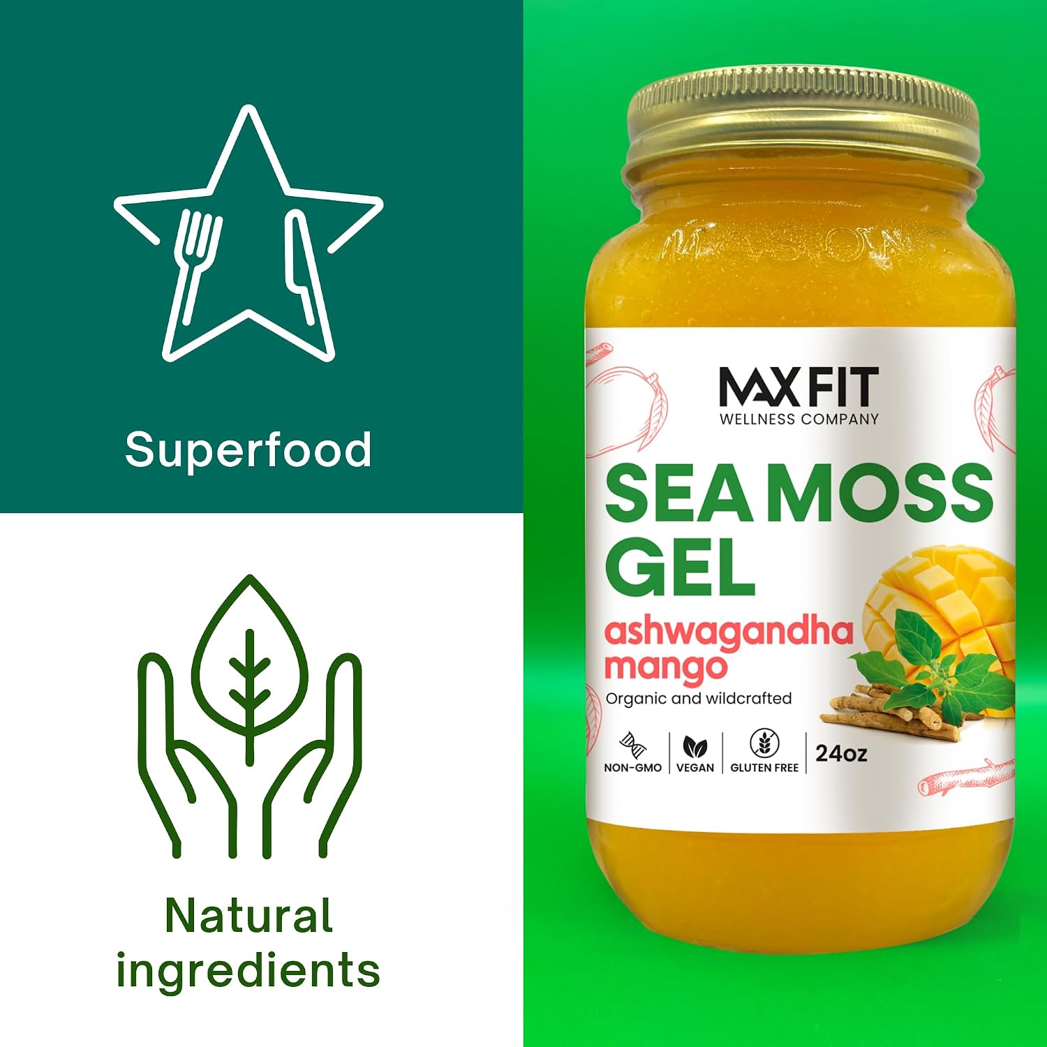 Sea Moss Gel Organic Raw Wildcrafted Gold Sea Moss from Saint Lucia | 92 Vitamins and Minerals | Pure Raw + Non-GMO | Vegan Superfood - görsel 3