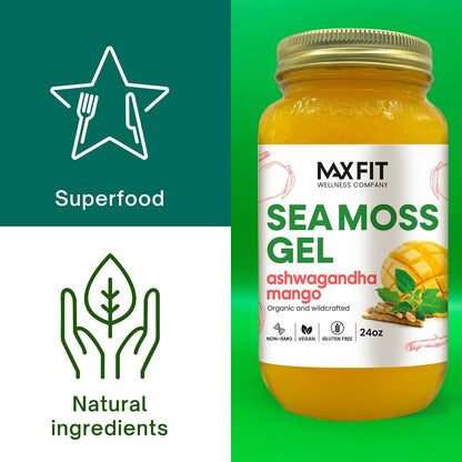 Sea Moss Gel Organic Raw Wildcrafted Gold Sea Moss from Saint Lucia | 92 Vitamins and Minerals | Pure Raw + Non-GMO | Vegan Superfood
