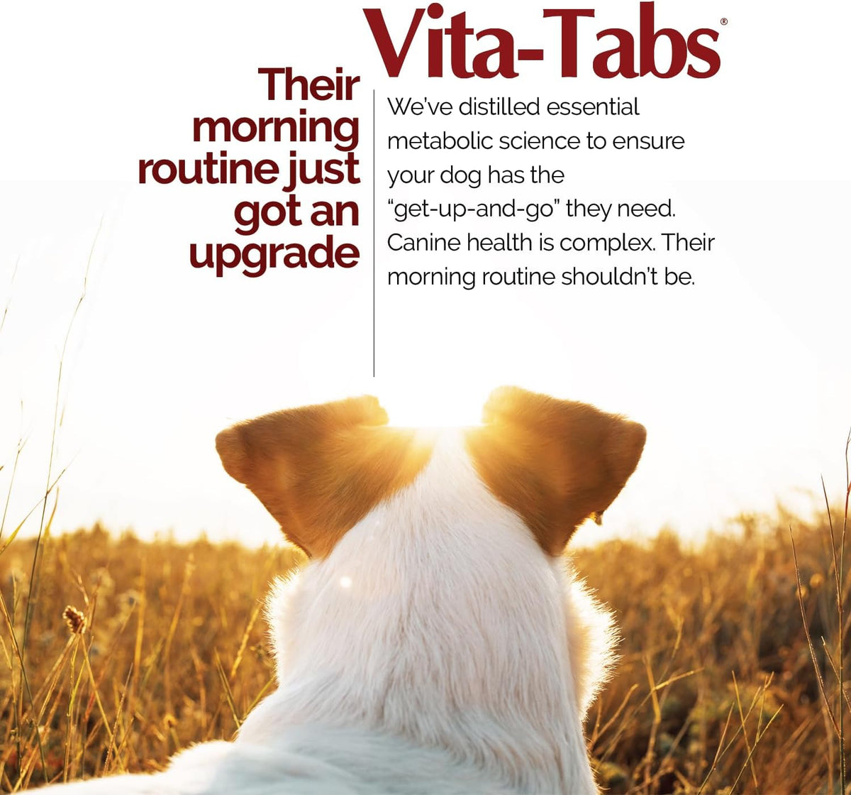 Vita-Tabs for Dogs Multivitamin & Mineral Supplement - 60 Chewable Tablets - görsel 2