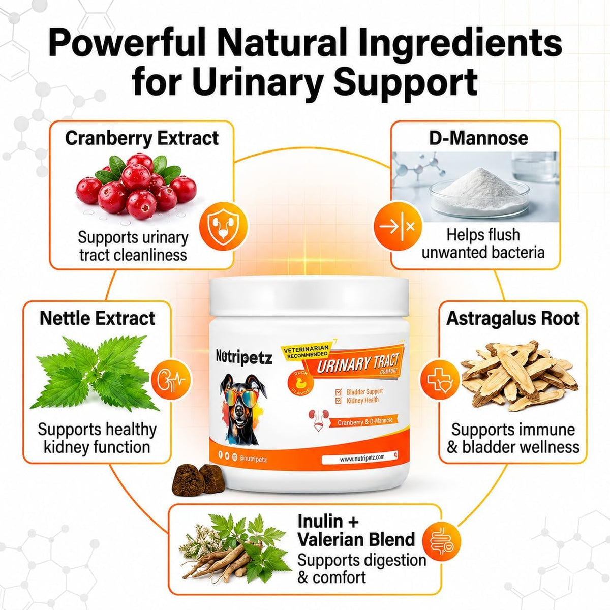 NutriPetz Cranberry Supplement for Dogs - Bladder and Urinary Tract Support - 120 Chews - görsel 6
