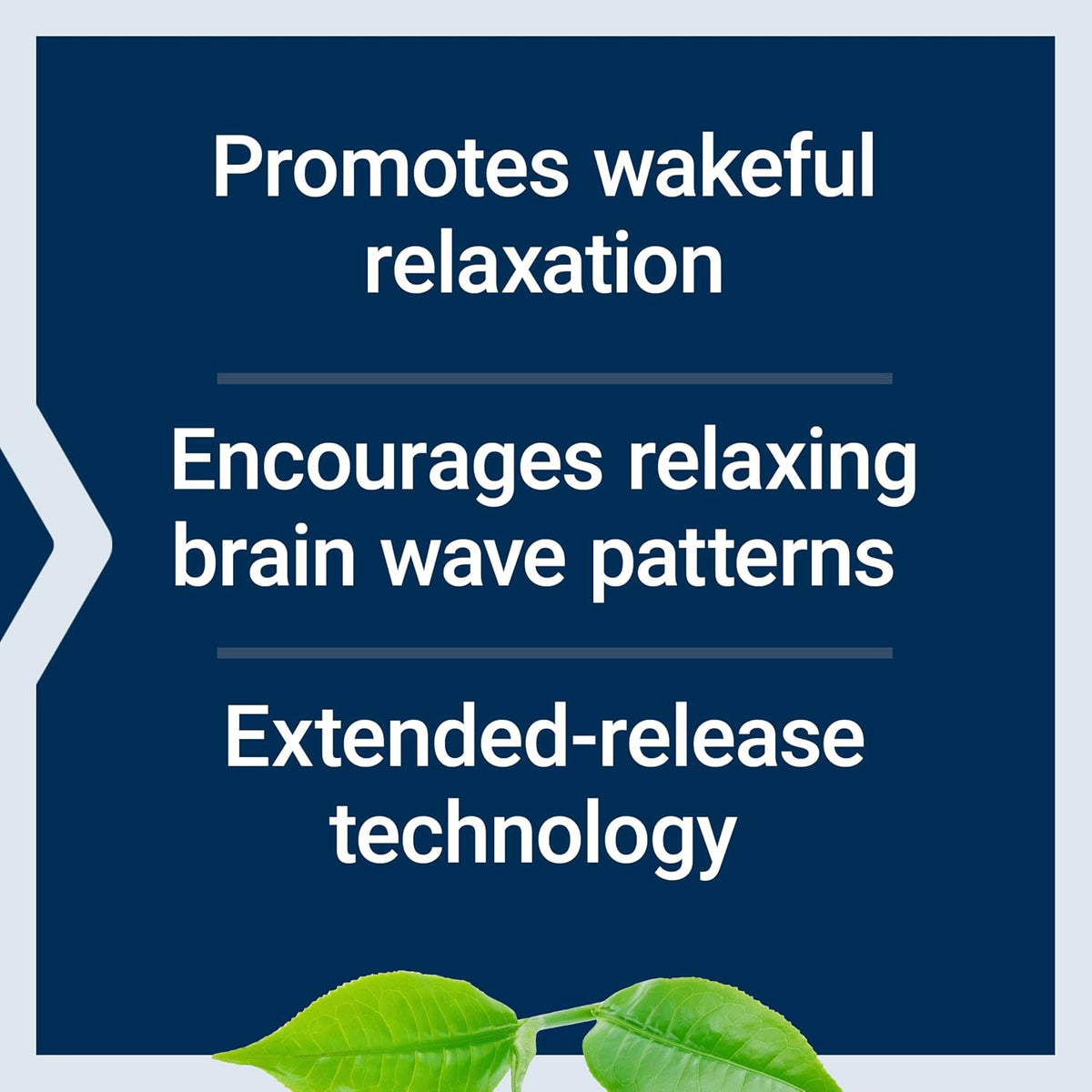 Life Extension Theanine XR Stress Relief (30 Tablets) - görsel 4