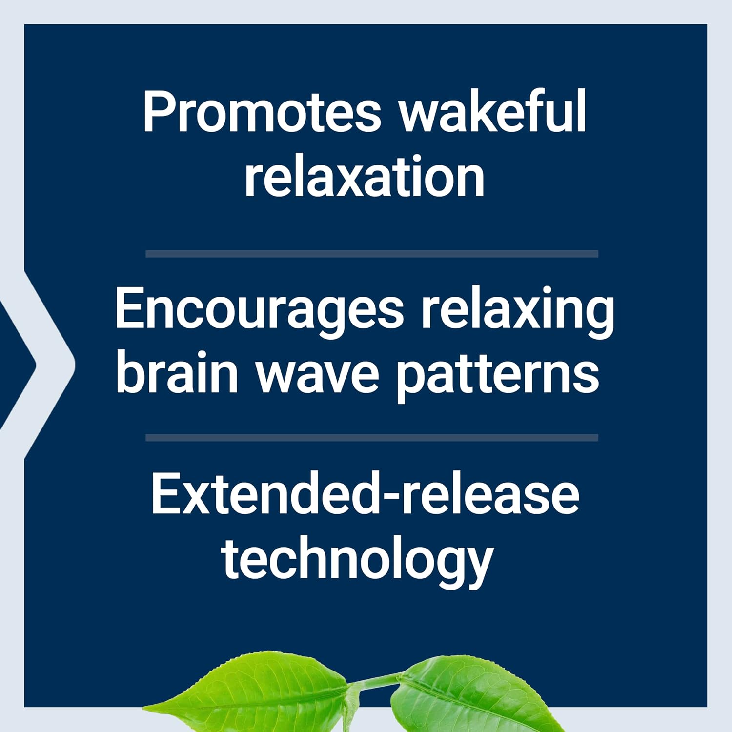 Life Extension Theanine XR Stress Relief (30 Tablets) - görsel 4