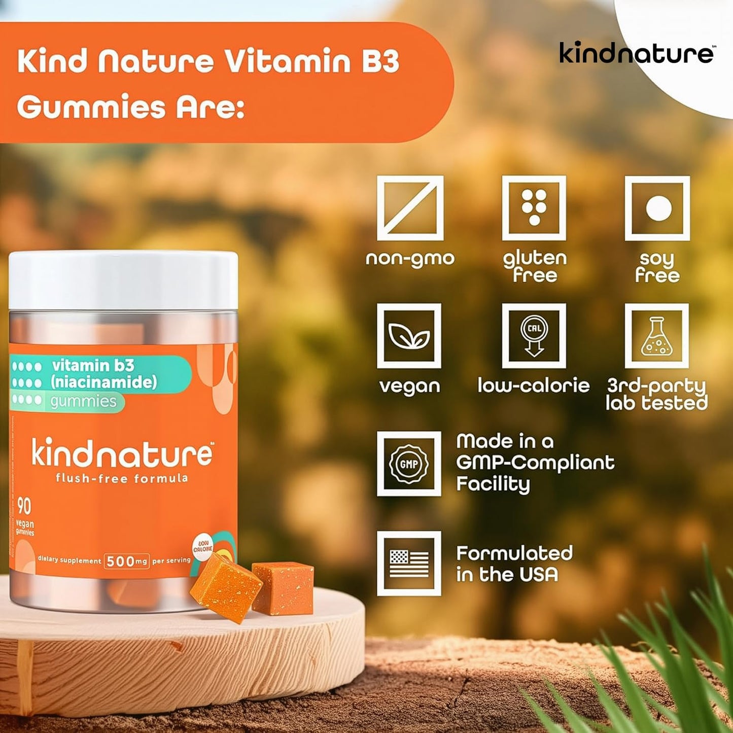 Kindnature Vitamin B3 Niacinamide Gummies 500mg – Flush-Free Niacin Supplement – Contributes to Normal Skin, Energy Metabolism & Nervous System Function – Vegan, Non-GMO, Gluten-free, Soya-Free – 90 Gummies - görsel 6