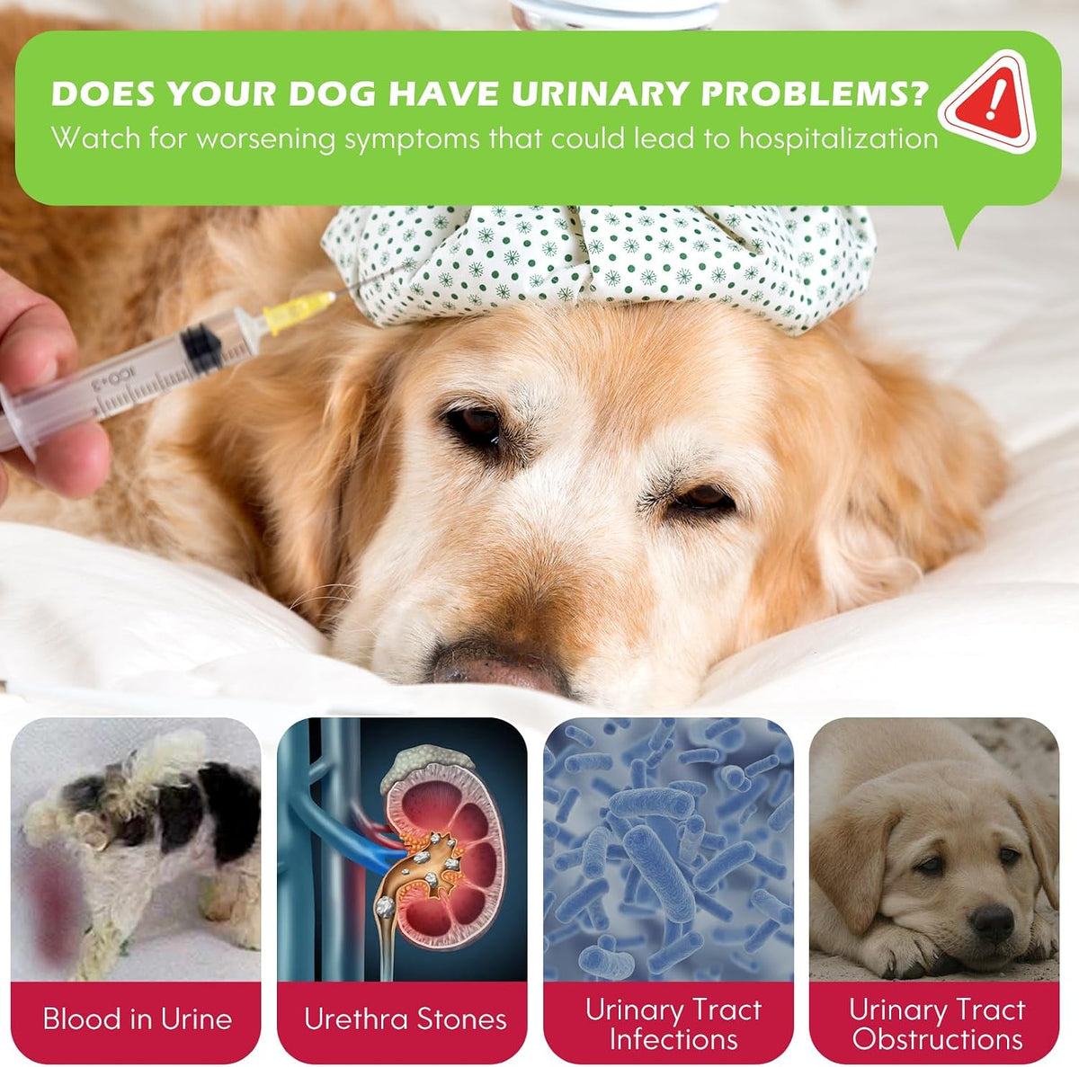 Xsvseie Dog Urinary Tract Drops - Natural Herbal Supplement with Cranberry for Bladder Health - görsel 4