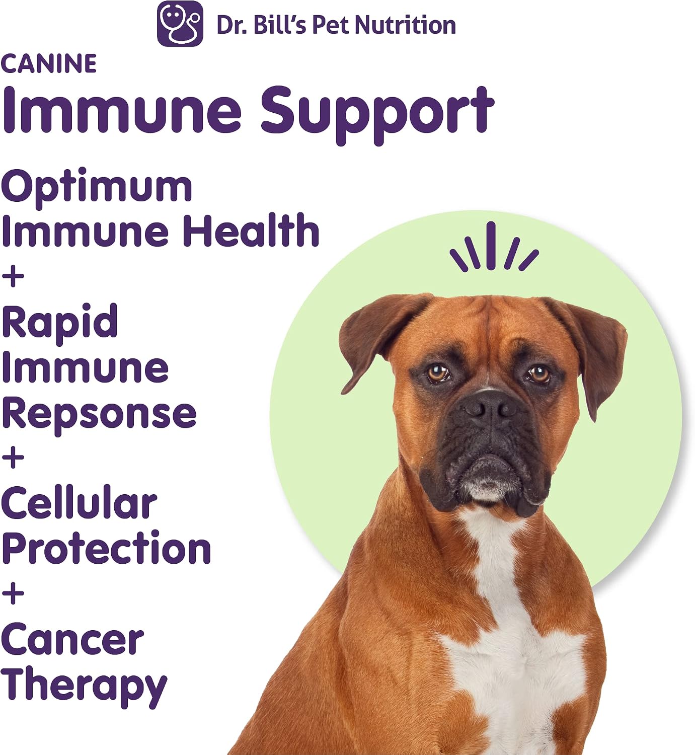 Dr. Bill's Canine Immune Support – Powder Supplement for Dogs of All Ages - görsel 3