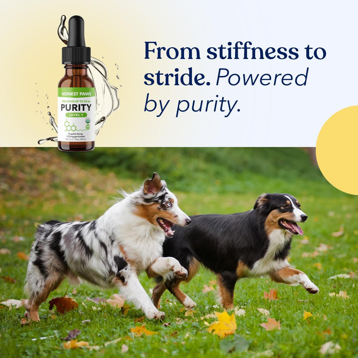 Hemp Oil for Dogs – Natural Hemp Seed Oil Calming Purity Drops - görsel 8