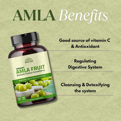 Amla Capsules (Phyllanthus Emblica) – Amalaki Amla 120 Capsules | Natural Antioxidant Superfood | Herbal Supplement Made with Organic Amla Fruit Powder