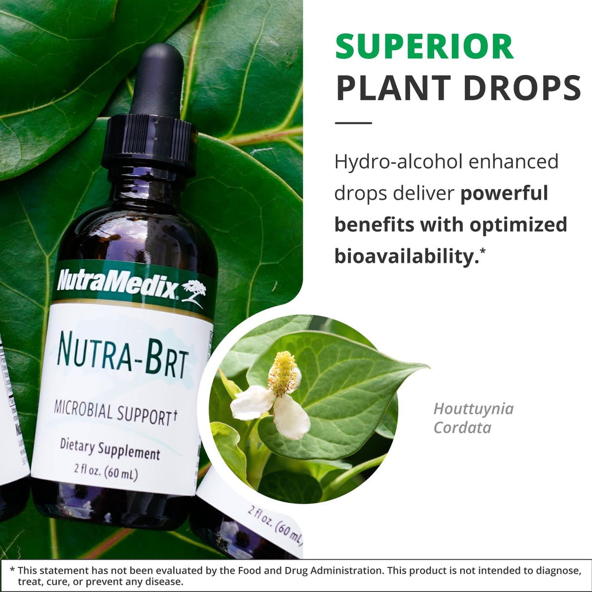 NutraMedix Nutra-BRT Immune Defence Supplement - görsel 5