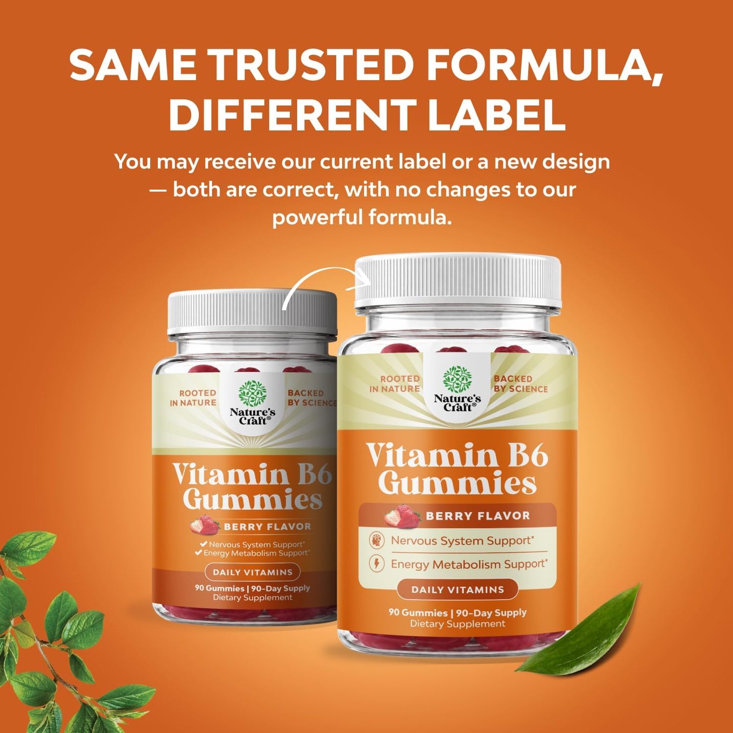High Strength Vitamin B6 Gummies for Adults - 50mg Per Serving - For Energy, Immune & Nerve Function - Vegan Kosher - 90 Count - görsel 2