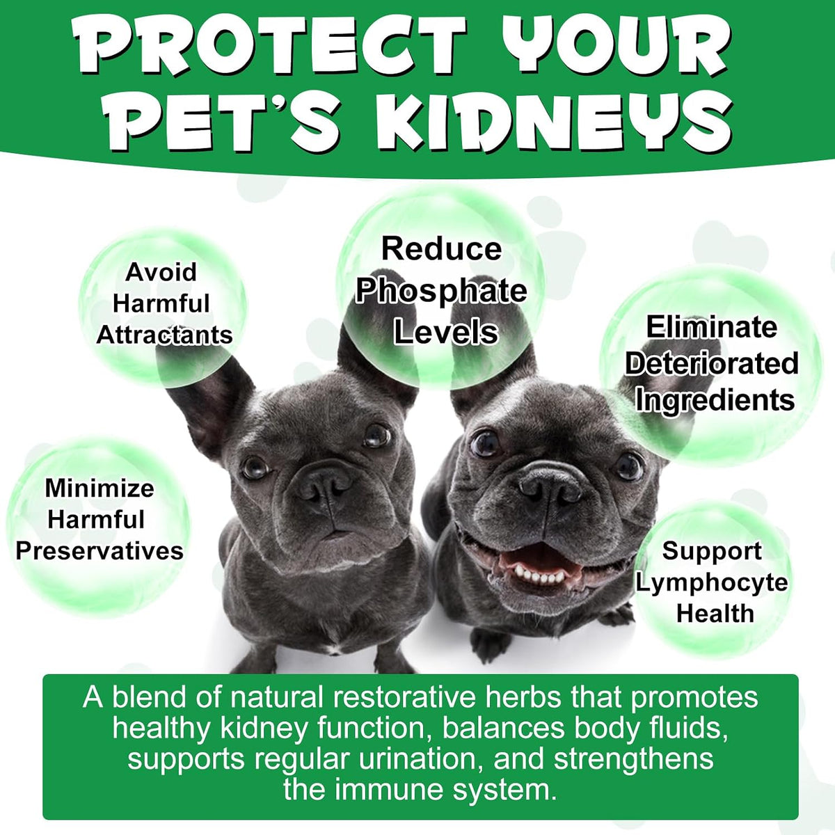 Kidney Support for Dogs - Herbal Supplement for Immune & Urinary Health (60ml) - görsel 6